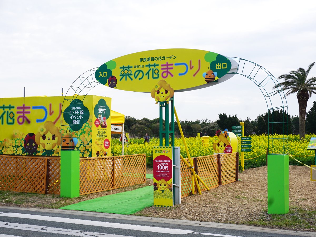 🌼 이라코 유채꽃 가든 이미지 4